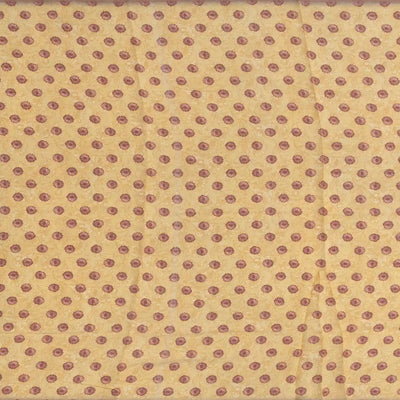 Light Blue Woven Blended Dupion Saree With Printed Floral Vine Motifs-Light Blue