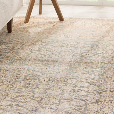 Open Box: Phedora Rug, 8'10" x 11'9"