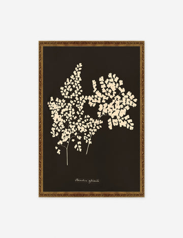 Ornate Gold
