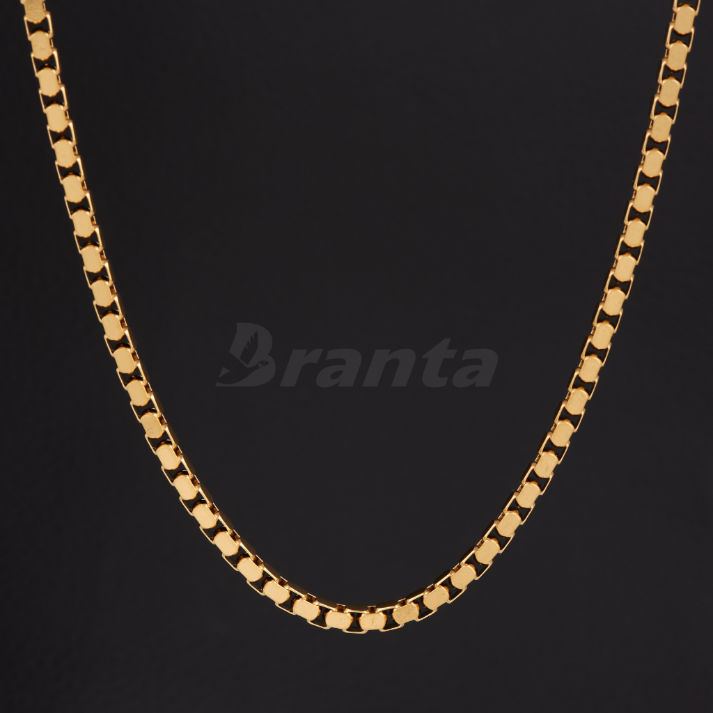 Gold Plated Italian Box Chain For Men (21 Inch)