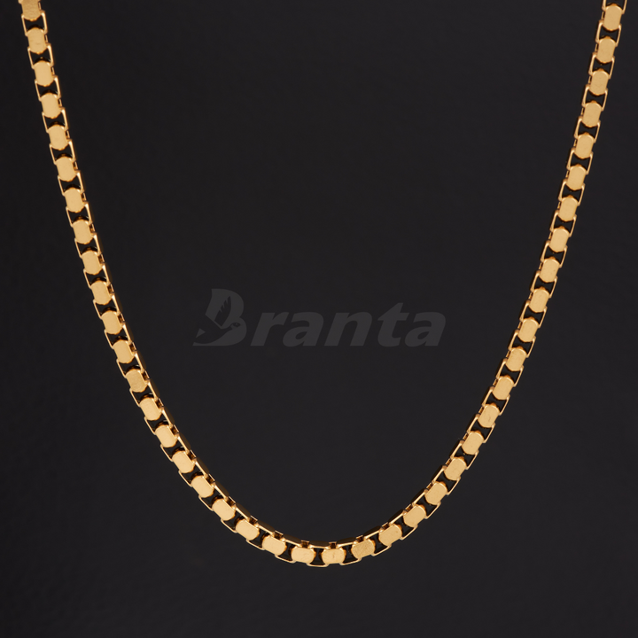 Gold Plated Italian Box Chain For Men (21 Inch)