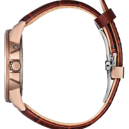 Citizen Eco-Drive Brown Dial Men 41mm BX1009-10X