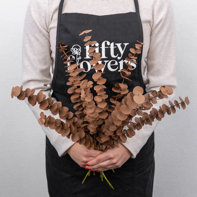 Mocha Mousse Tinted Baby Eucalyptus