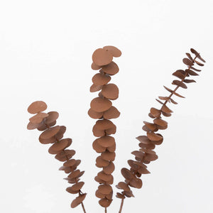 Mocha Mousse Tinted Baby Eucalyptus