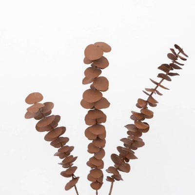 Mocha Mousse Tinted Baby Eucalyptus