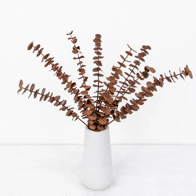 Mocha Mousse Tinted Baby Eucalyptus