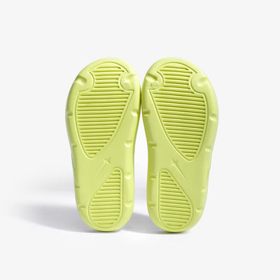 Slides LIME