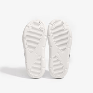 Slides FROST