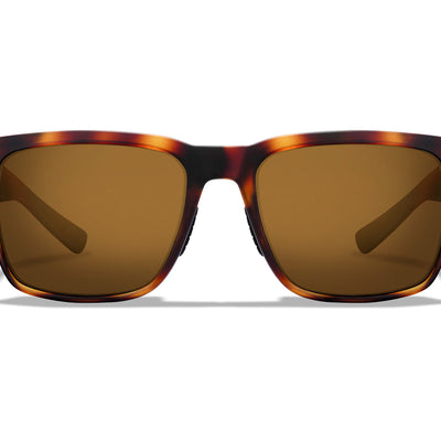 Barton Sunglasses