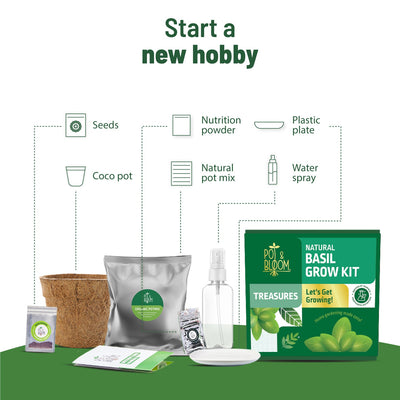 Treasures Basil Kit