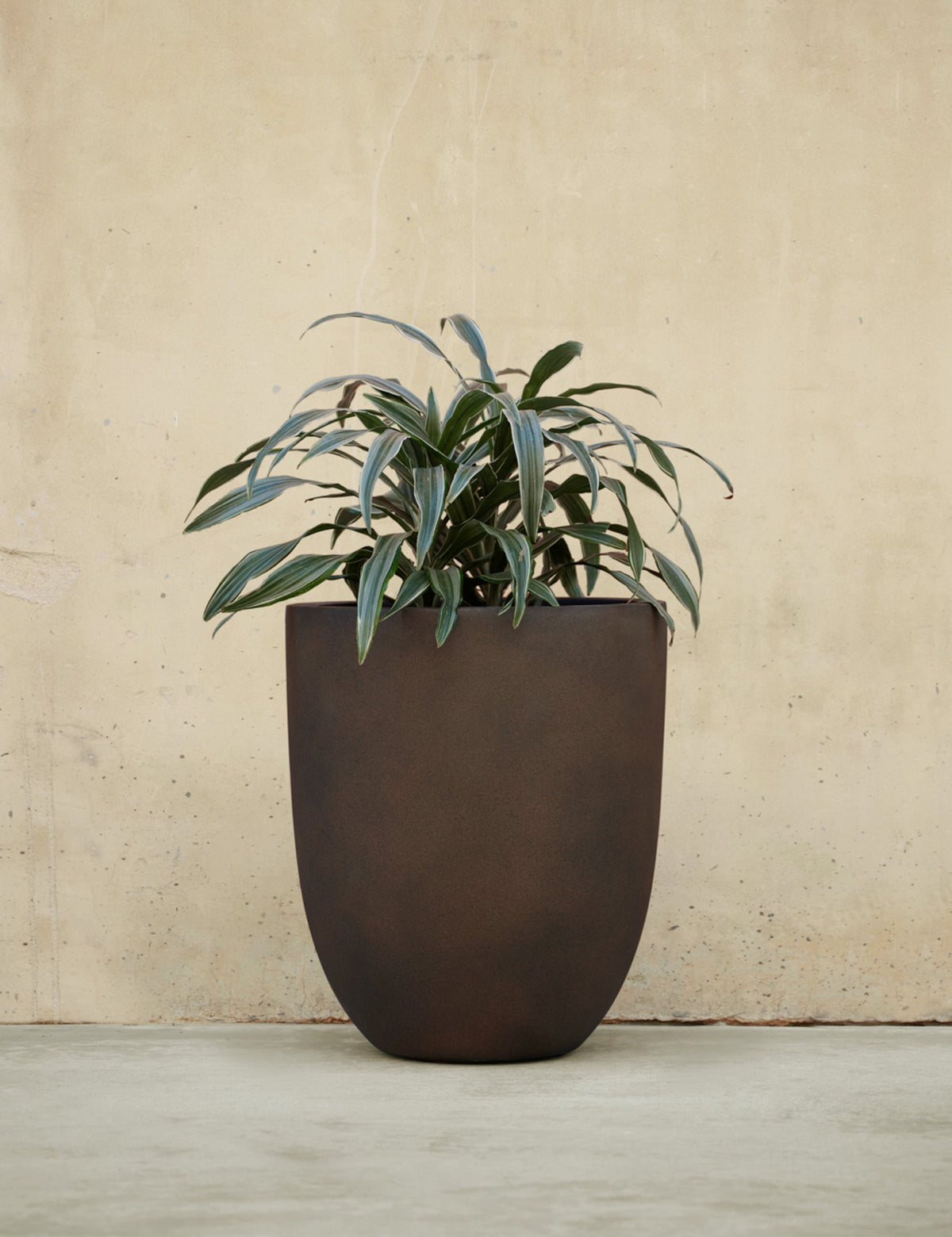 Bradford Planters by Campania International
