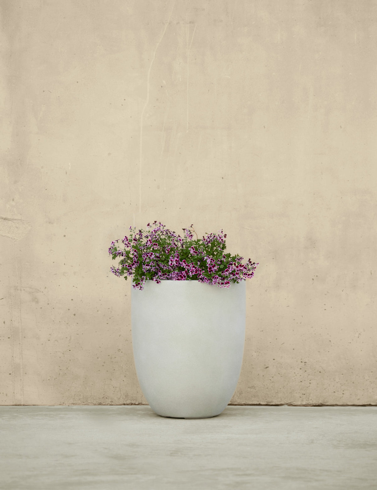 Bradford Planters by Campania International