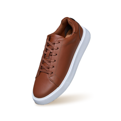 Classic Solids : Brown