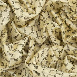 Cream Handloom Chanderi Cotton Saree With Printed Mango Motifs-Cream