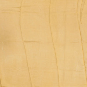 Cream Handloom Chanderi Cotton Saree With Printed Mango Motifs-Cream