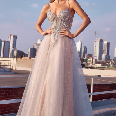 Applique Sleeveless Tulle Gown by Ladivine CC0881