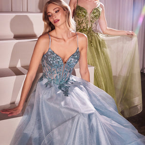 Applique Sleeveless Tulle Gown by Ladivine CC0881