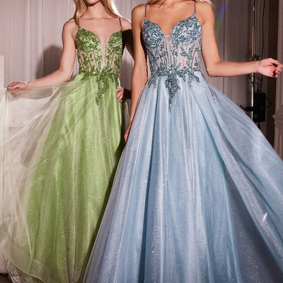 Applique Sleeveless Tulle Gown by Ladivine CC0881