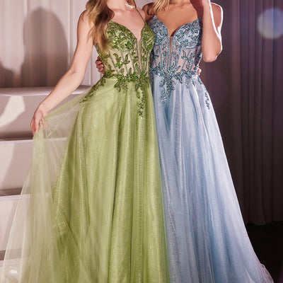 Applique Sleeveless Tulle Gown by Ladivine CC0881