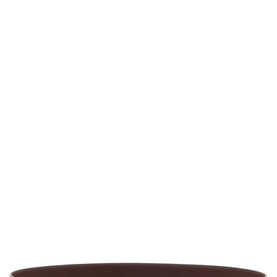 Chloé Iconic Belt