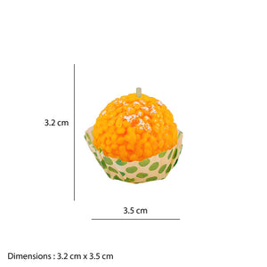 Thoughtful Treasures Combo Box