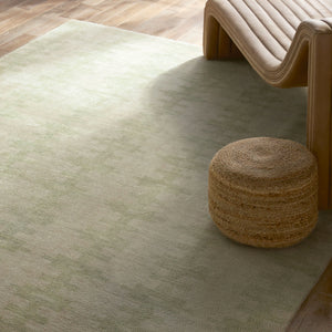Ilyas Hand-Knotted Wool Rug