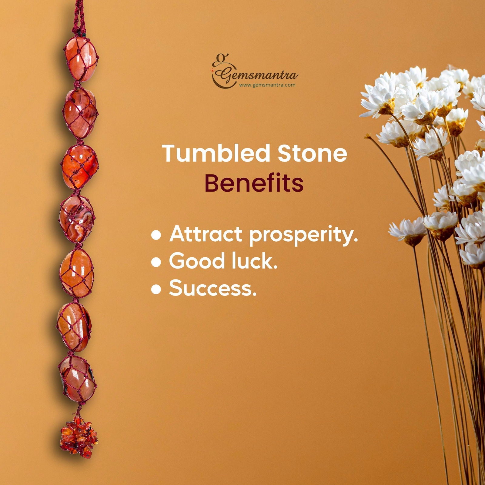 Carneline Tumbled Hanging