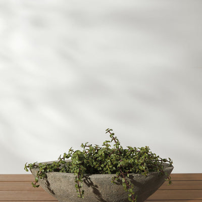 Cast Stone Tabletop Planters by Campania International