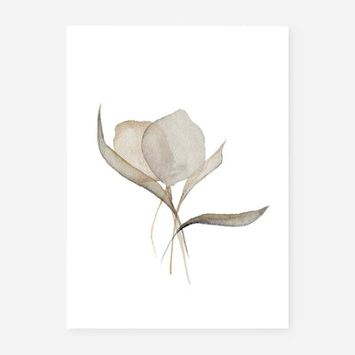 Pale Bouquet Print by Céline Nordenhed