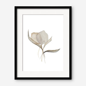 Pale Bouquet Print by Céline Nordenhed