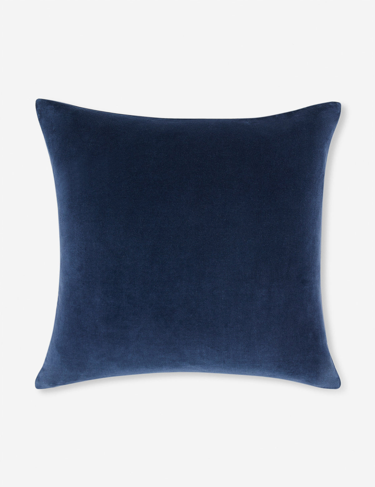 Charlotte Velvet Pillow
