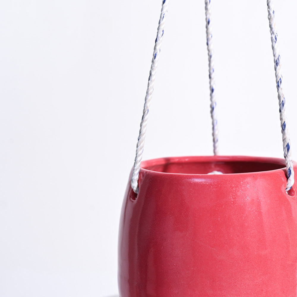 Ladybug Handmade Ceramic Hanging Planter