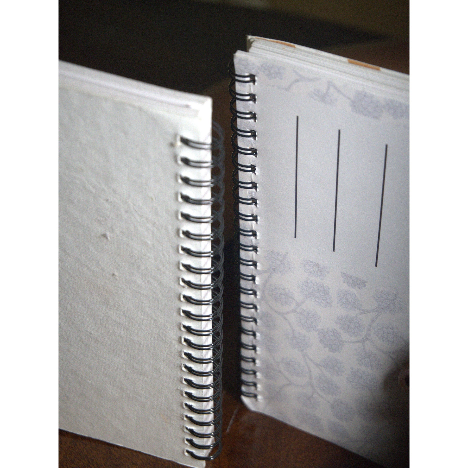 Baagh Bandar Spiral Sketchpad