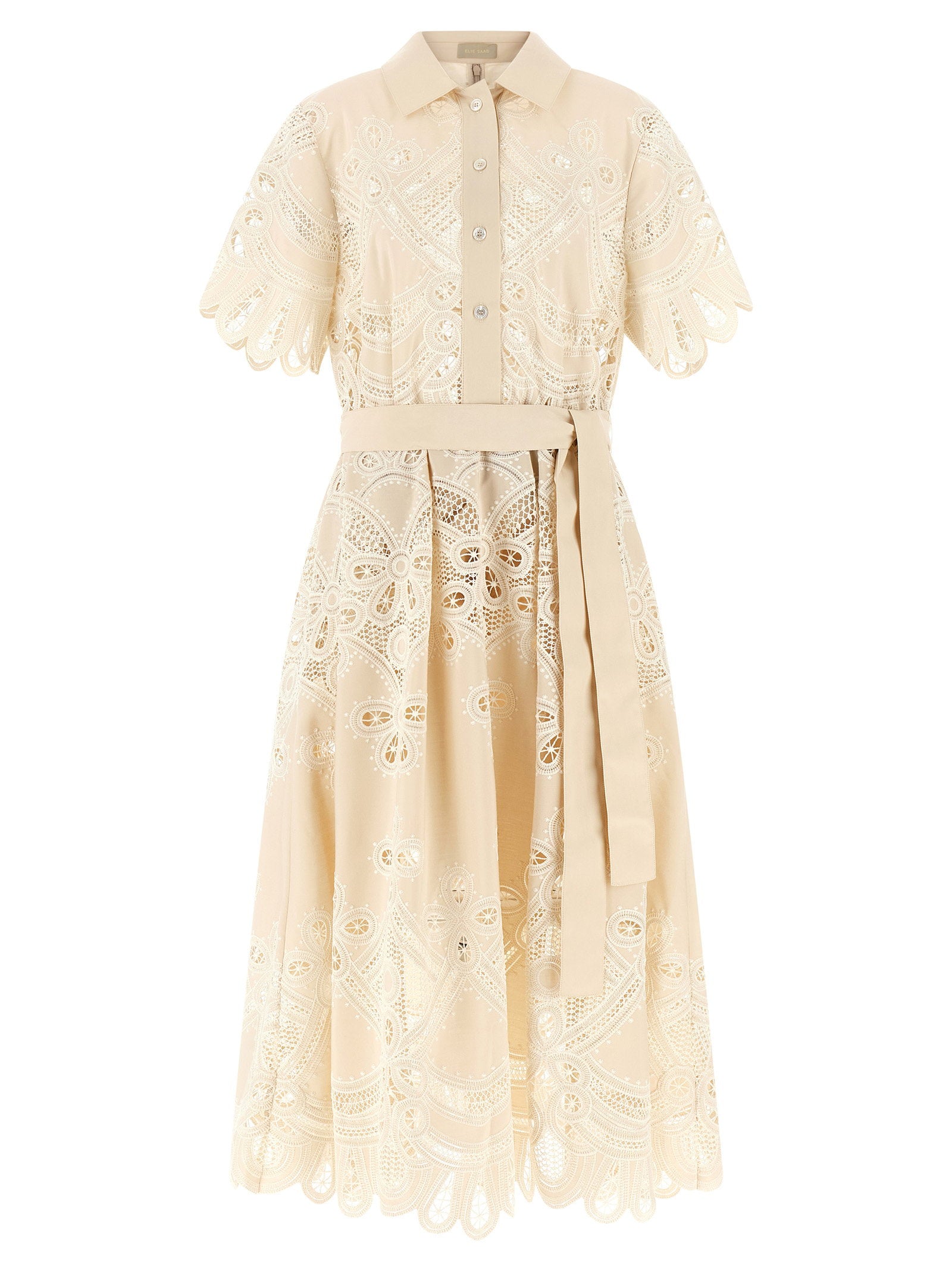 Elie Saab Carving Embroidery Dress