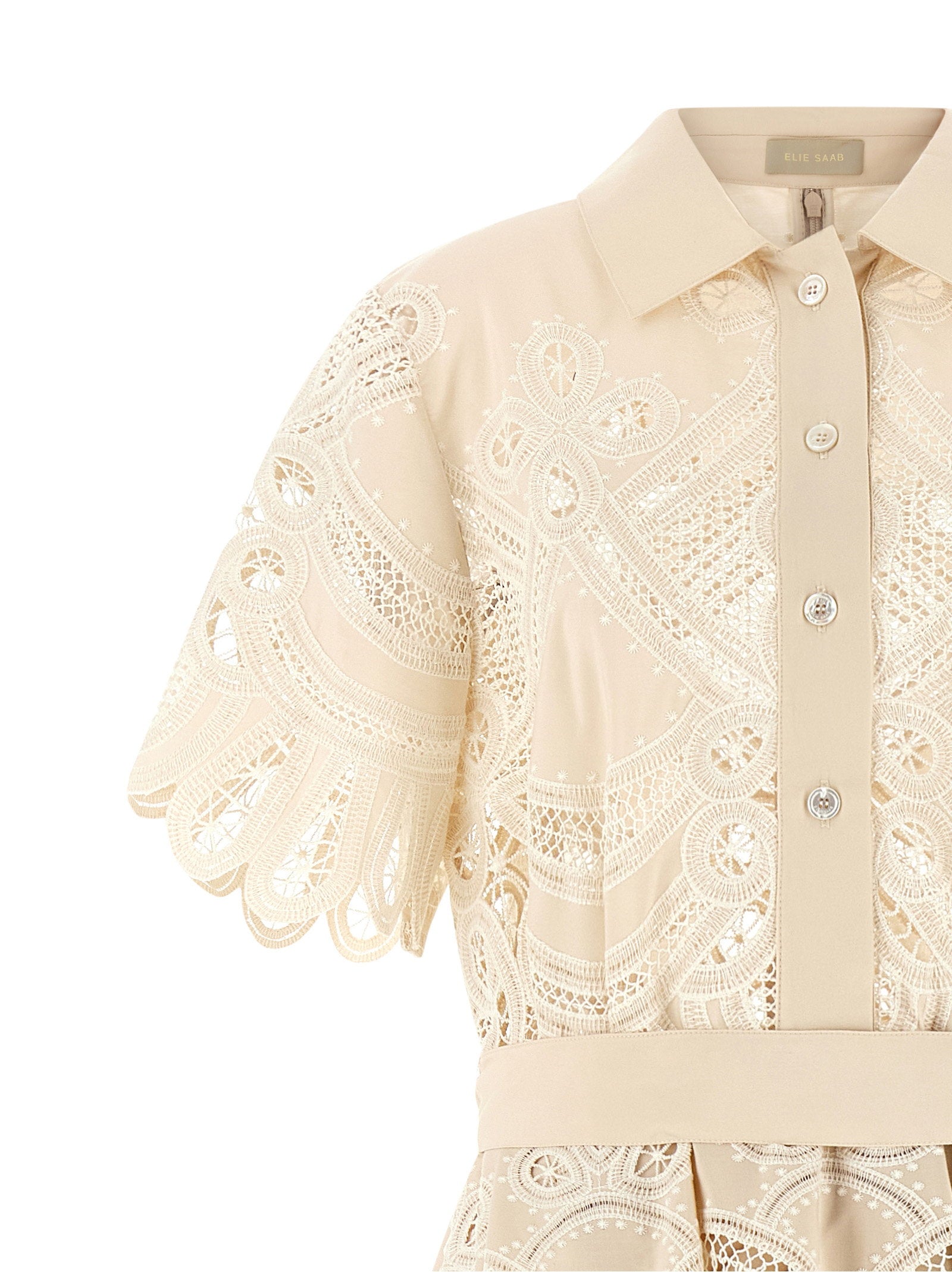 Elie Saab Carving Embroidery Dress