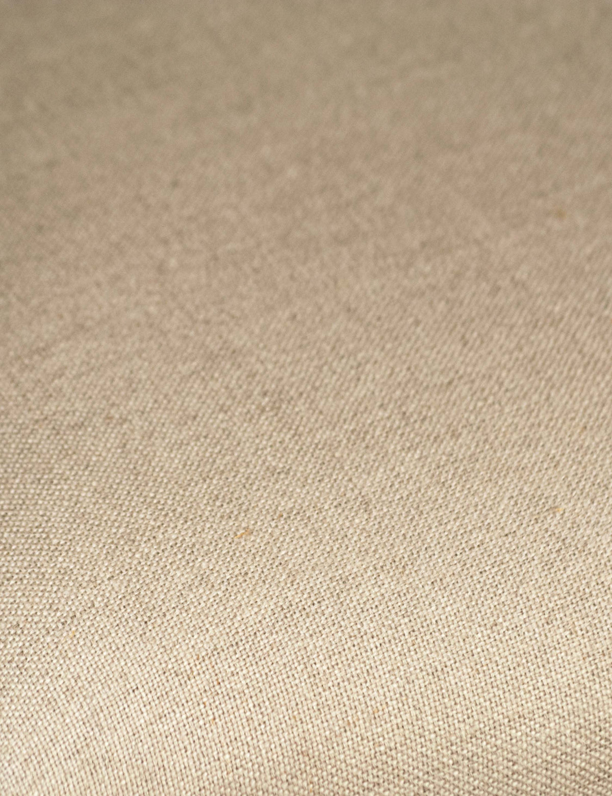 Cassidy Dining Chair