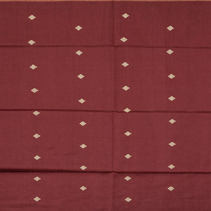 Beige Handloom Dupion Silk Saree With Printed Floral Vine Motifs-Beige