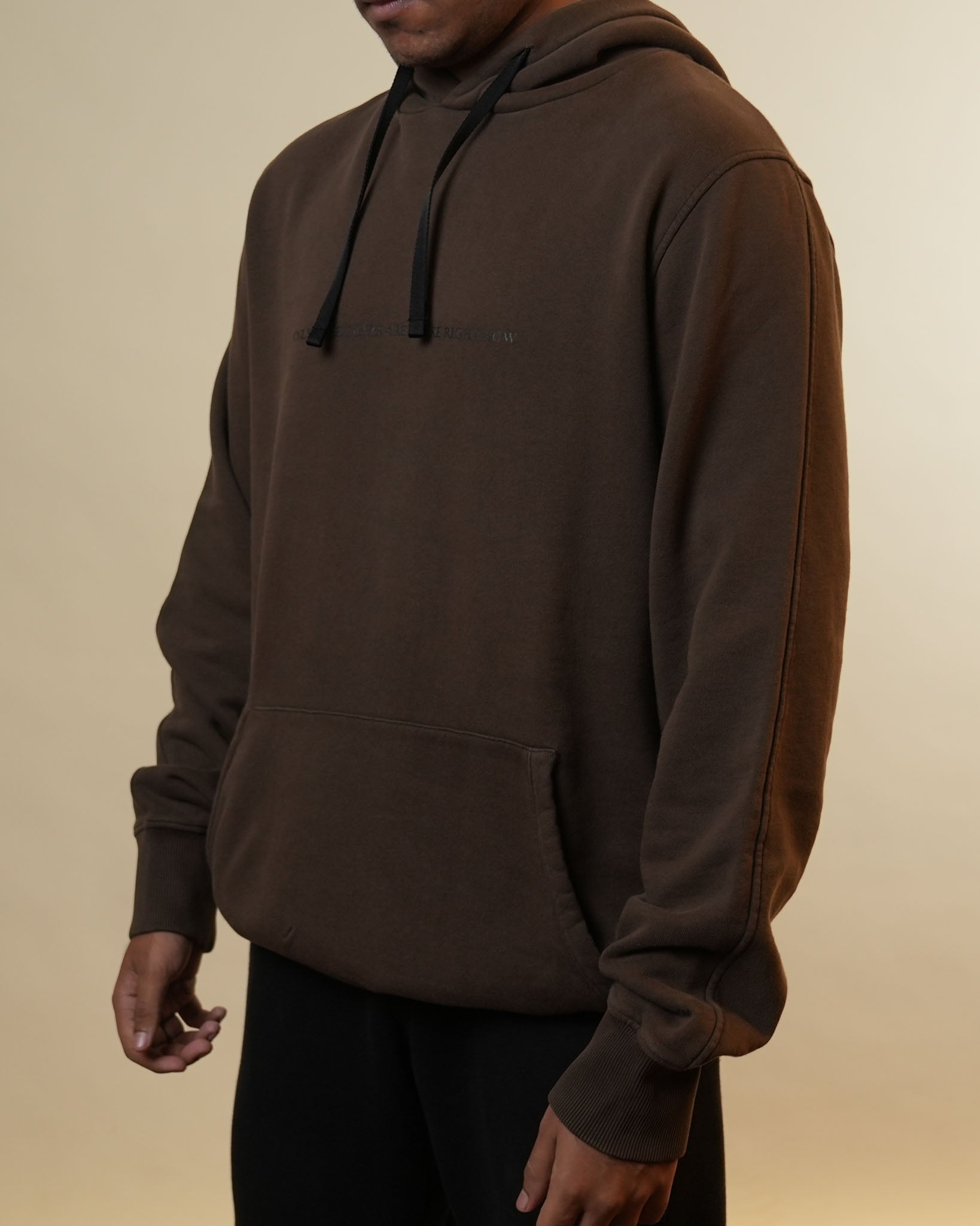 Alyx Brown Hoodie