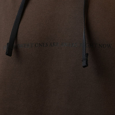 Alyx Brown Hoodie