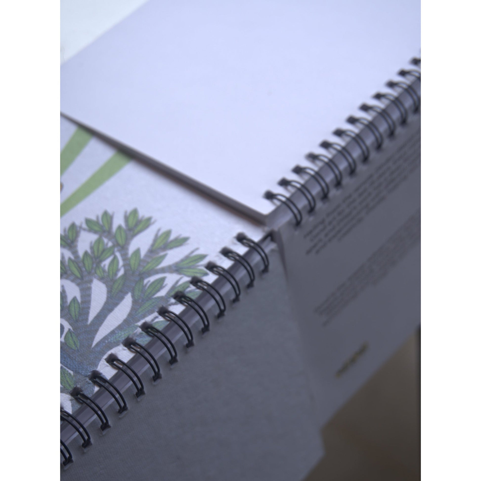 Baagh Bandar Spiral Sketchpad