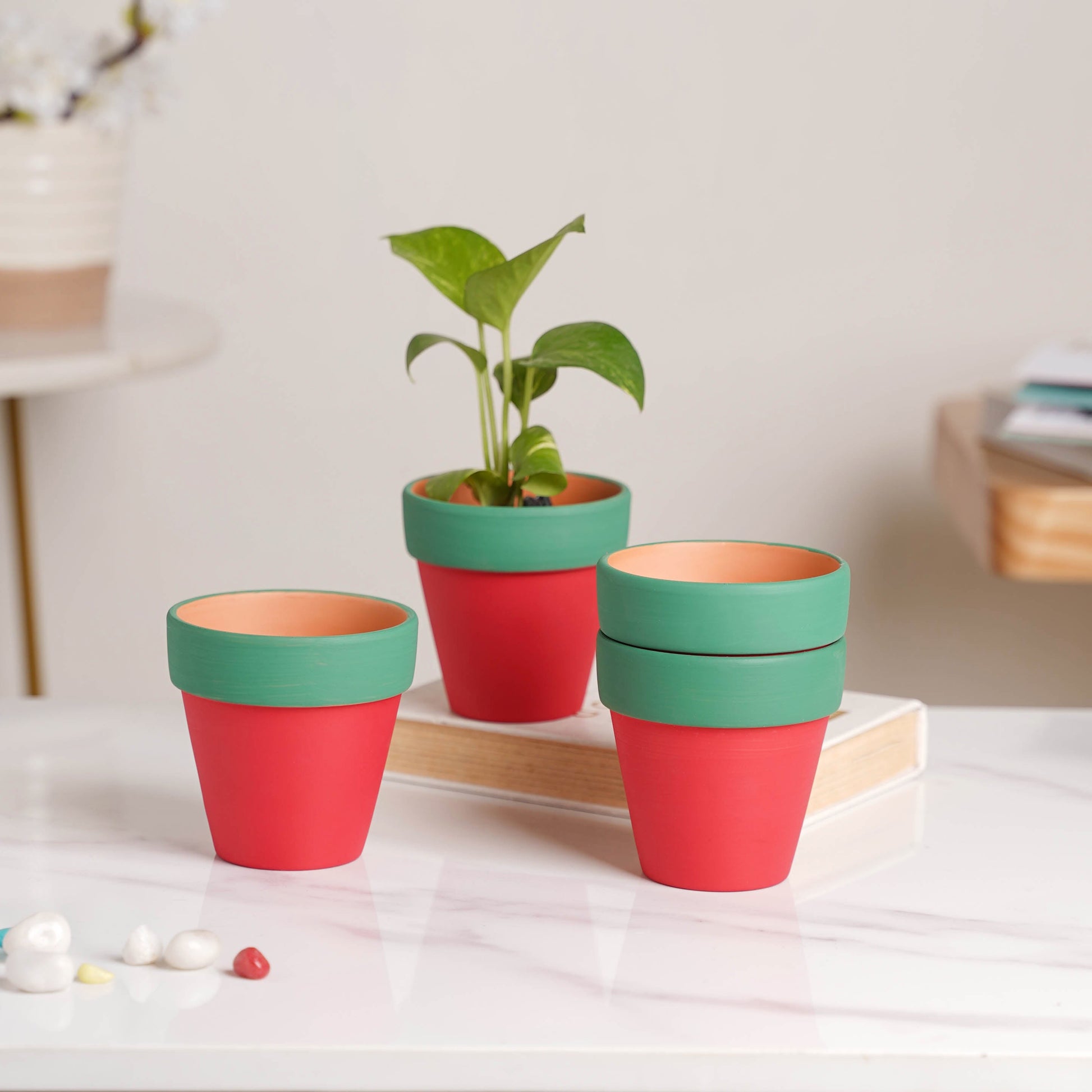 Green Rim Red Clay Pot Set Of 4