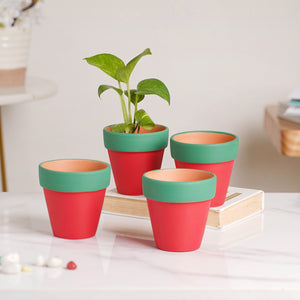 Green Rim Red Clay Pot Set Of 4