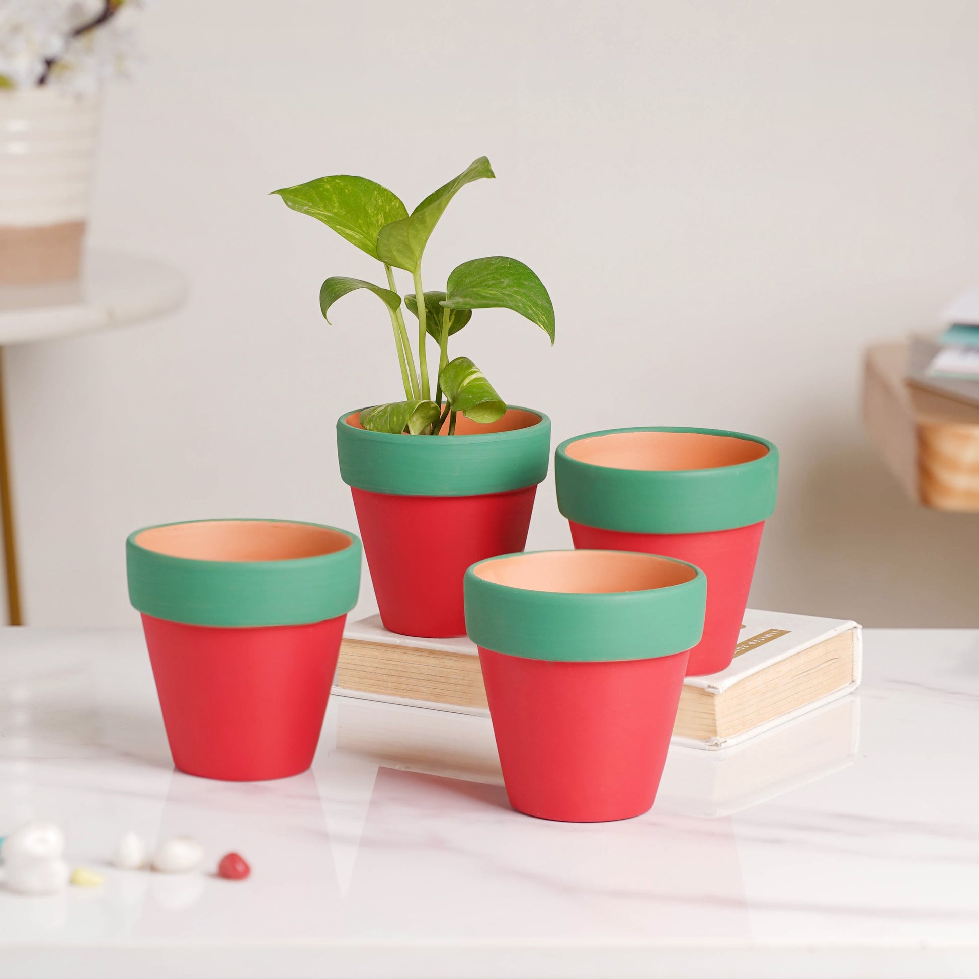 Green Rim Red Clay Pot Set Of 4