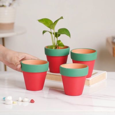 Green Rim Red Clay Pot Set Of 4