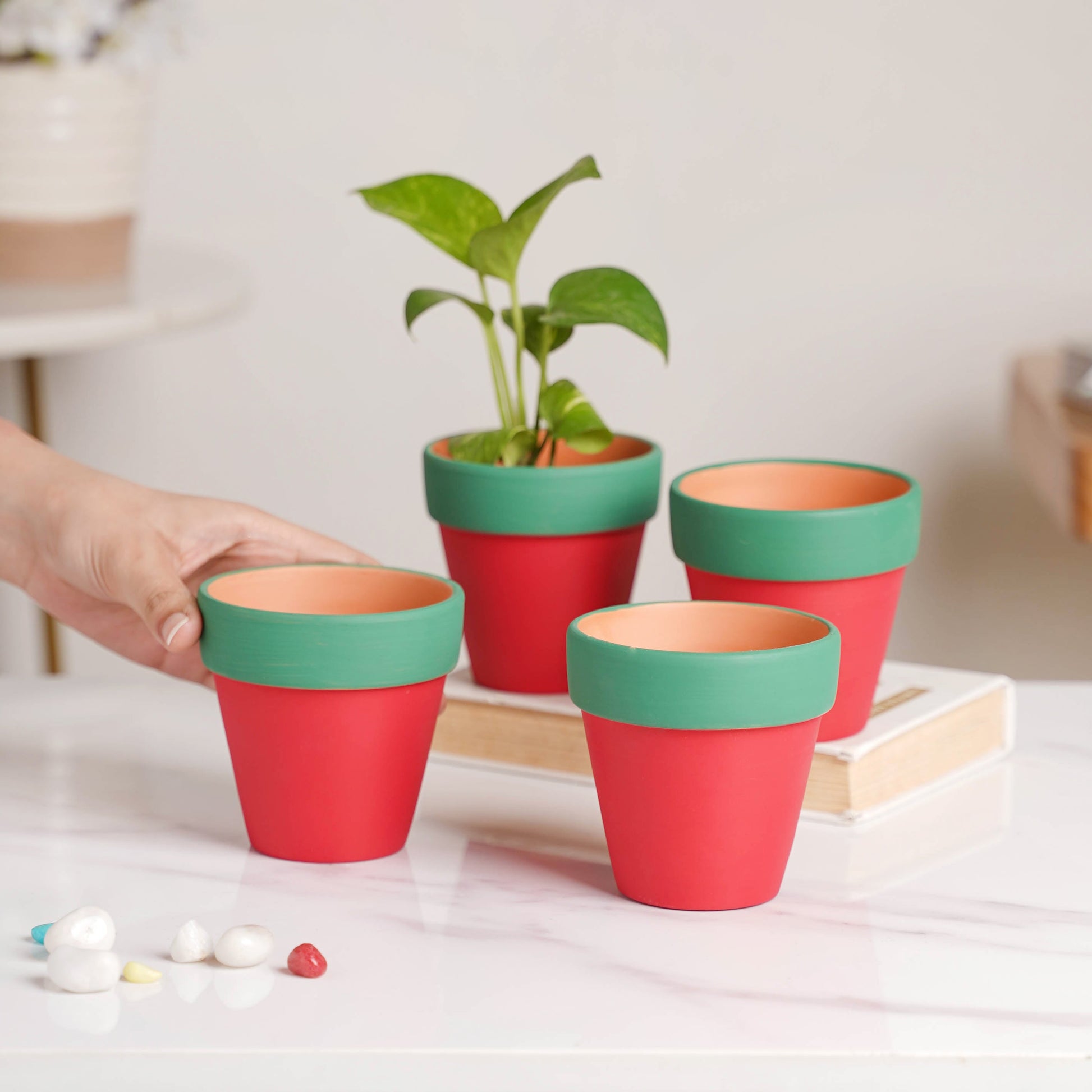 Green Rim Red Clay Pot Set Of 4