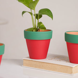 Green Rim Red Clay Pot Set Of 4