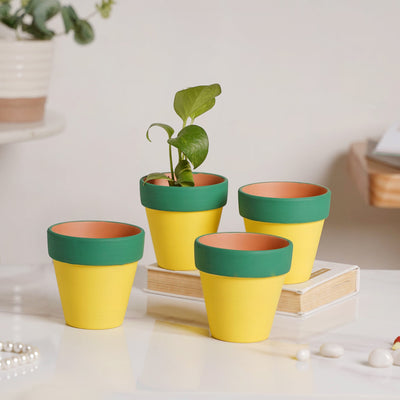 Green Rim Yellow Clay Pot Set Of 4