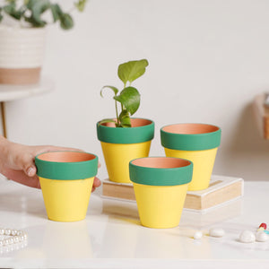 Green Rim Yellow Clay Pot Set Of 4