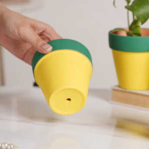 Green Rim Yellow Clay Pot Set Of 4