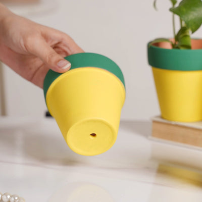Green Rim Yellow Clay Pot Set Of 4